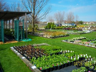 <a href="http://www.mcintoshgreenhouse.com">More Information Available at www.mcintoshgreenhouse.com</a><br><br>Fantastic opportunity on 14+/- acres just south of Goshen, IN with lots of frontage on US 33.  This property is currently zoned commercial-retail and consists of 16 greenhouses with 37,494 SF of heated growing area.  

In addition, it includes retail buildings, shop, and an approx. 1700 SF home adjacent to the business. Opportunities abound with this prime property and the second generation owners retiring and ready to consider offers.  Possible uses of this acreage is unlimited!  A Great location on a busy road, good access and paved parking for 66 vehicles.

 - 14+/- Acres Zoned Commercial-Retail